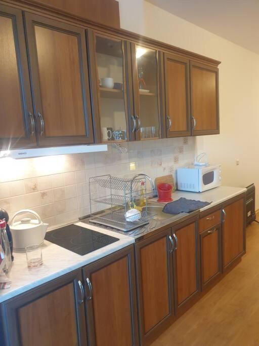 Studio Silver Terace With Sea View For 4 Person Byala  Exterior foto